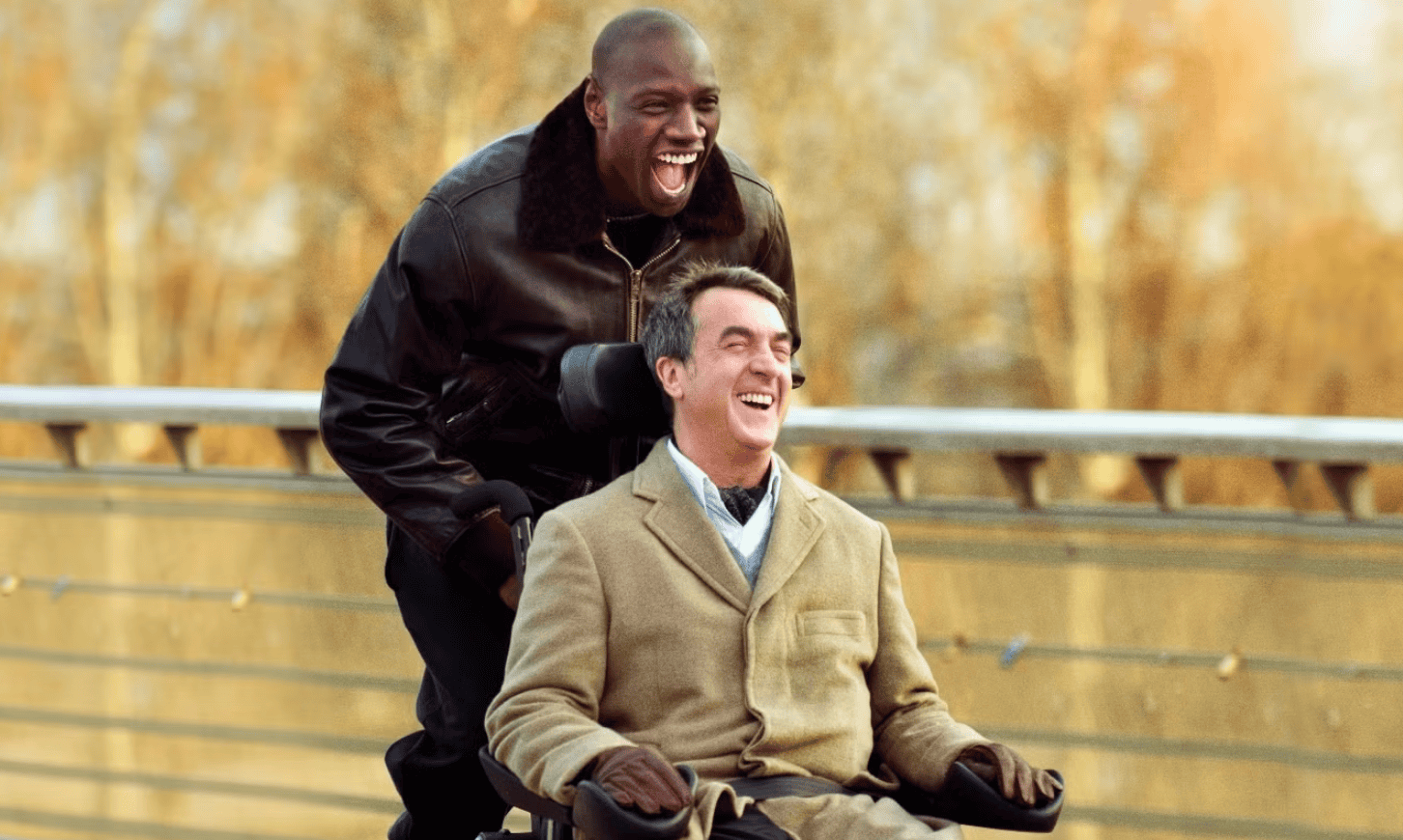 The Intouchables (2011)